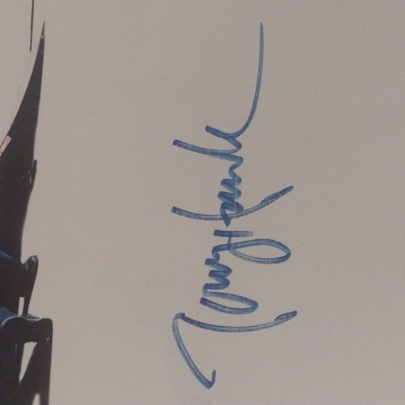 Tony Hawk skater bones brigade ramp logic mini signed posters - Picture 2 of 7